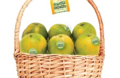 Cam giòn Xuân Hòa Thượng Lộc